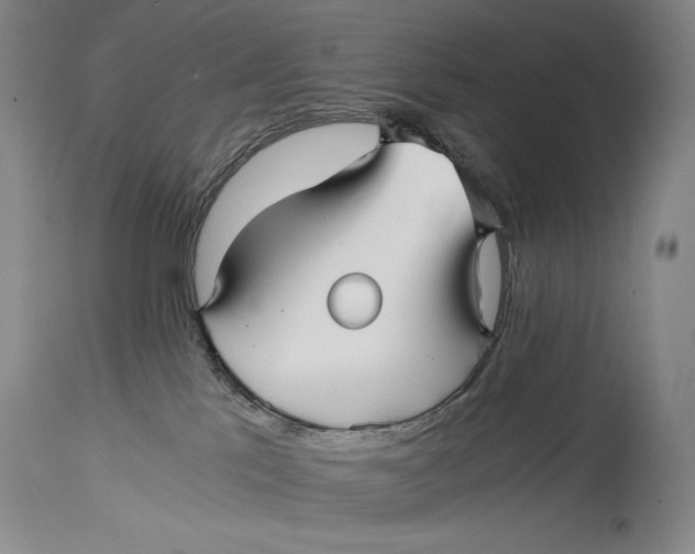 X0000114390041200911061525