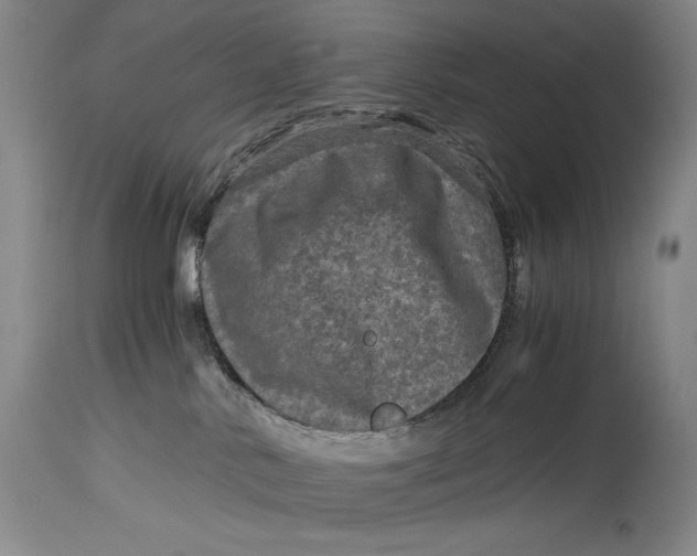 X0000114390042200911061525