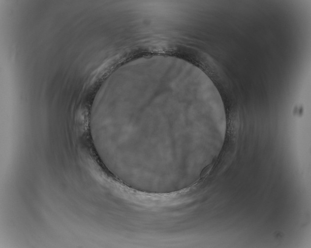 X0000114390043200911061525