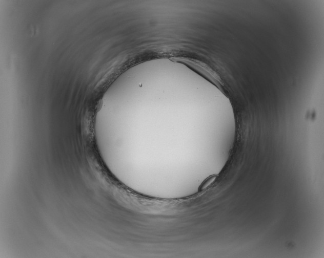 X0000114390044200911061525