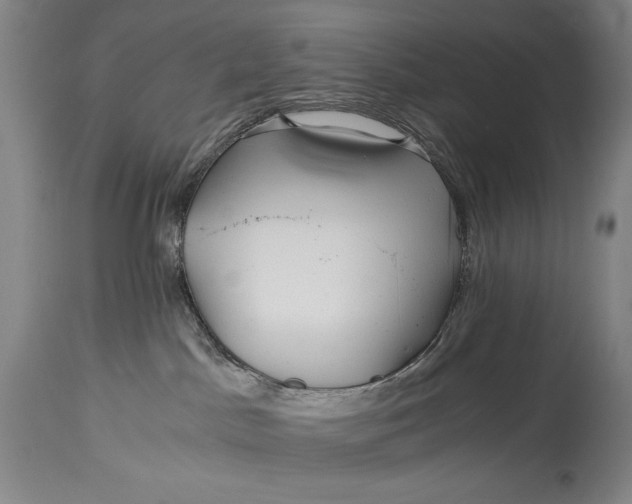 X0000114390045200911061525
