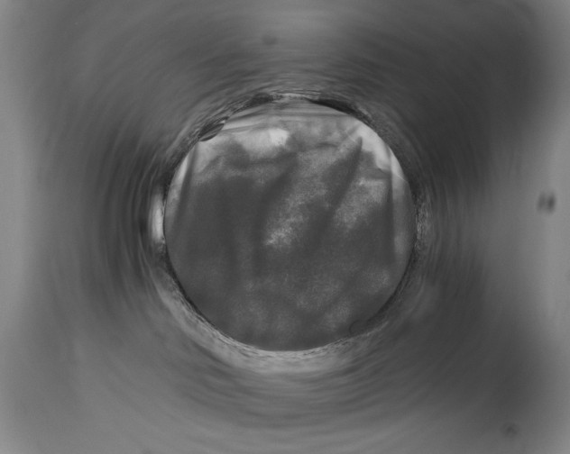 X0000114390046200911061525