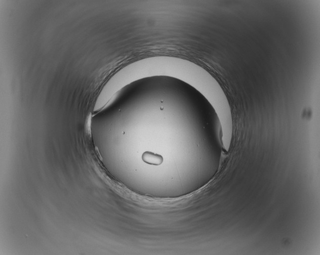 X0000114390047200911061525