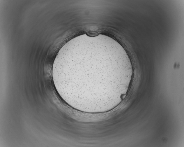 X0000114390048200911061525