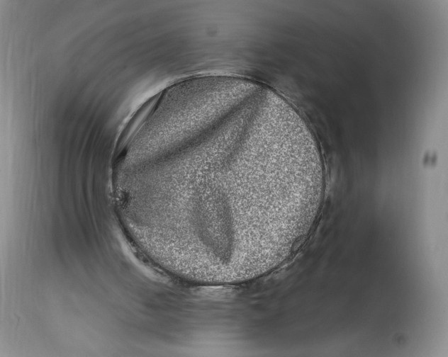 X0000114390050200911061524