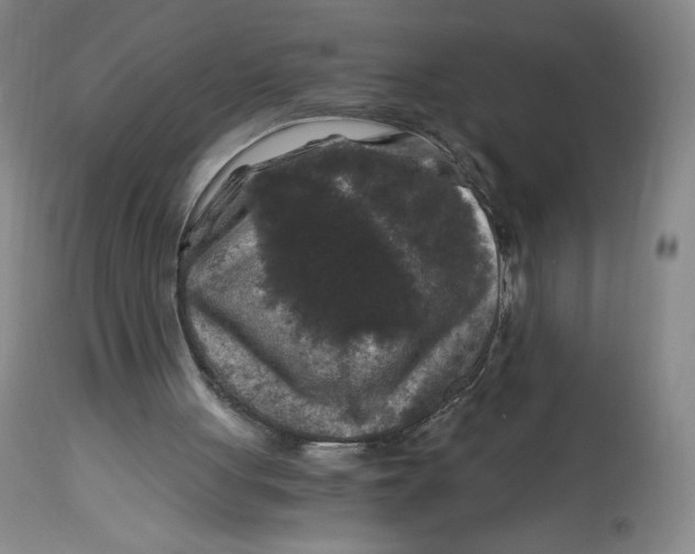 X0000114390051200911061524
