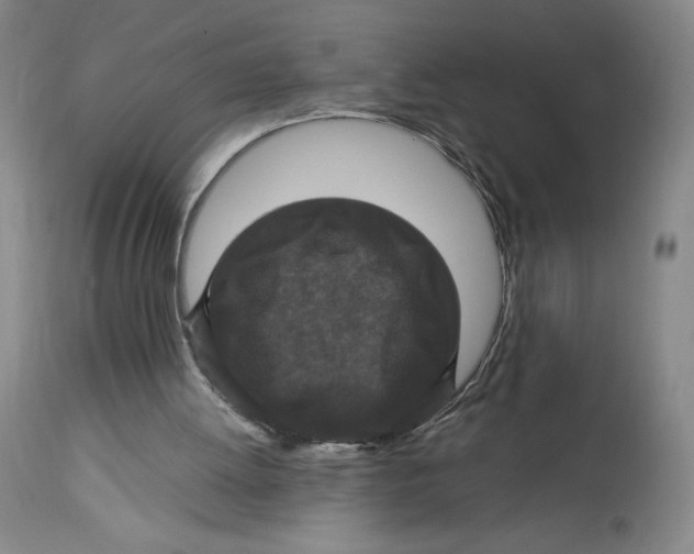 X0000114390052200911061524