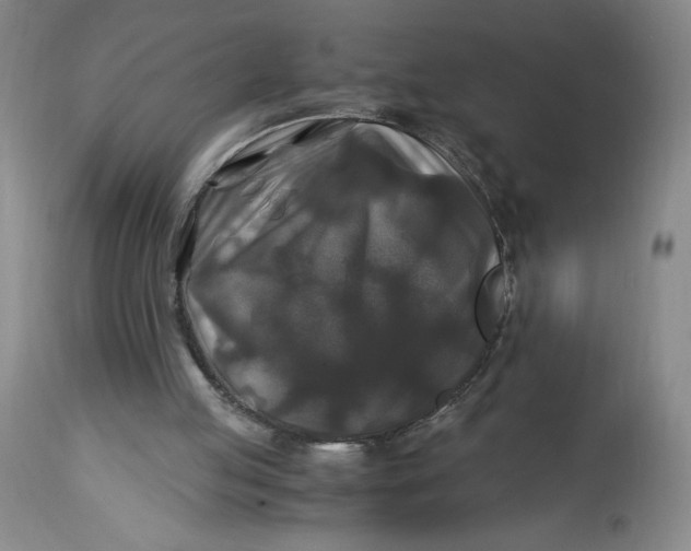 X0000114390053200911061524