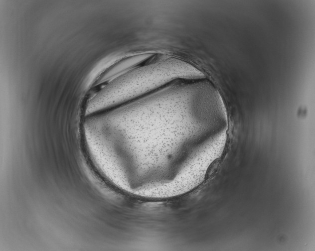 X0000114390054200911061524