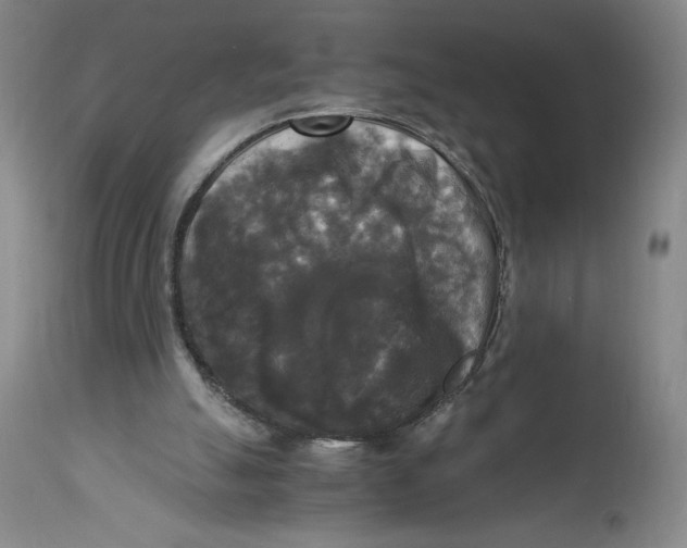 X0000114390055200911061524