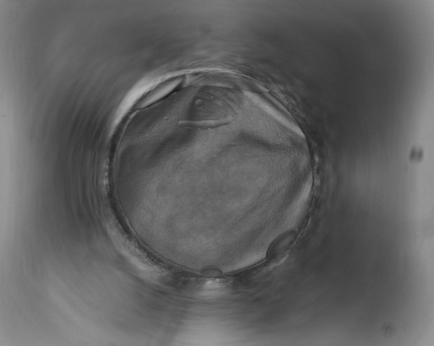 X0000114390056200911061524