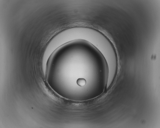 X0000114390057200911061524