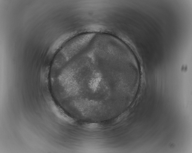 X0000114390058200911061524