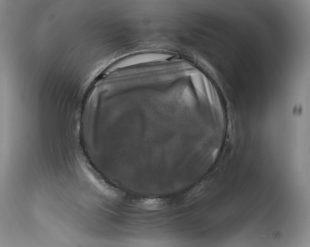 X0000114390059200911061524