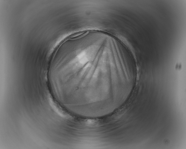 X0000114390060200911061524