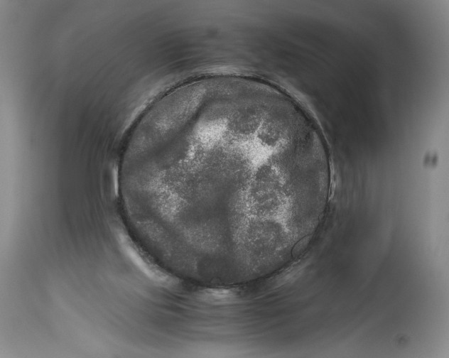 X0000114390061200911061524