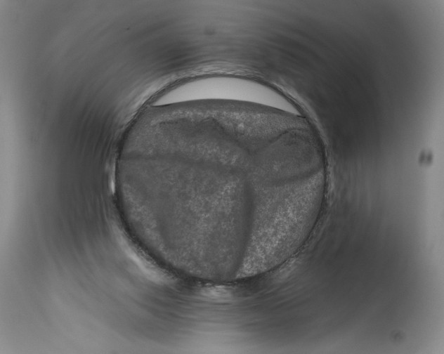 X0000114390062200911061524