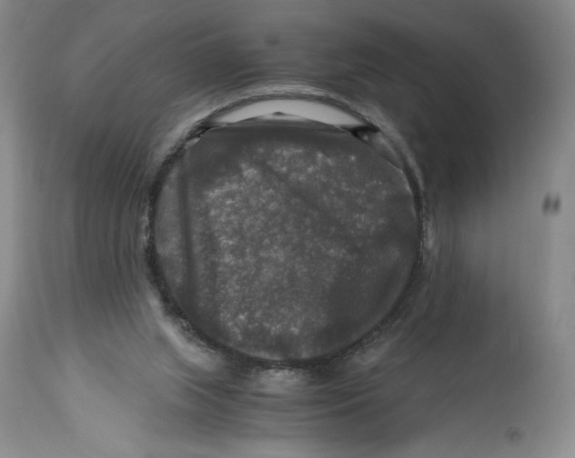 X0000114390063200911061524