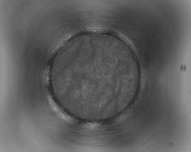X0000114390065200911061524