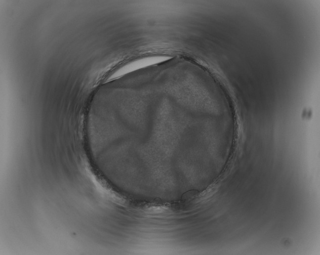 X0000114390066200911061524
