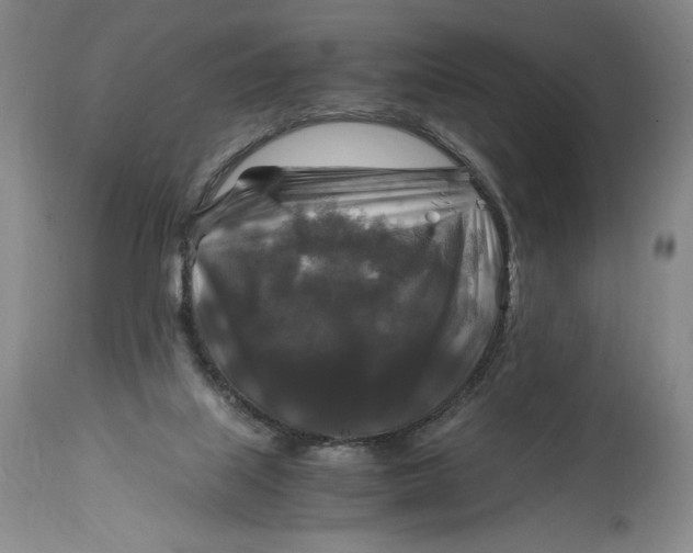 X0000114390067200911061524