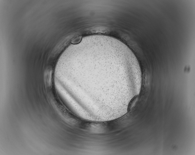 X0000114390070200911061524