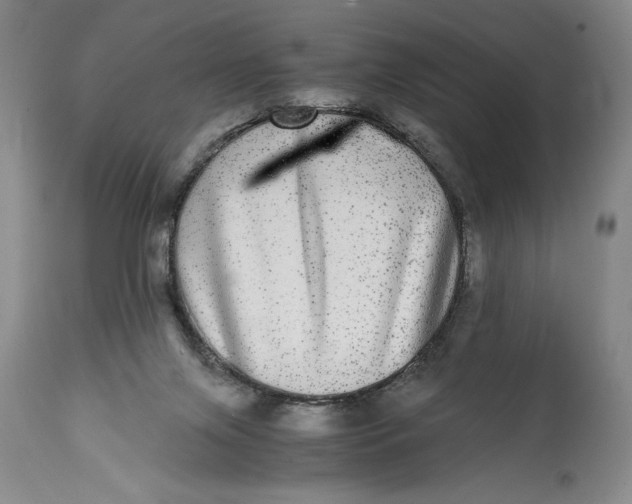 X0000114390071200911061524