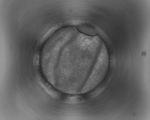 X0000114390072200911061524