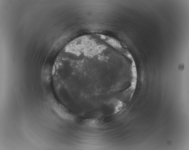 X0000114390074200911061524