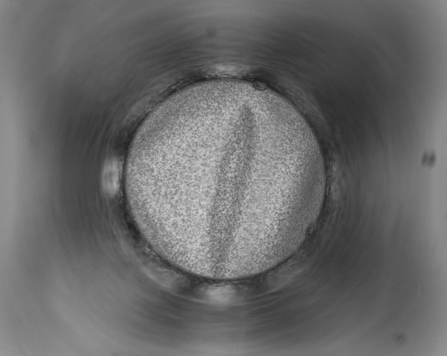 X0000114390075200911061524
