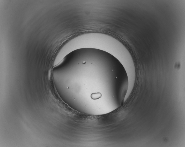 X0000114390076200911061524