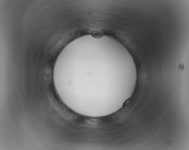 X0000114390079200911061525