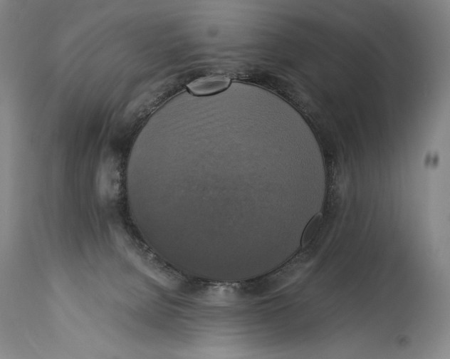 X0000114390080200911061525