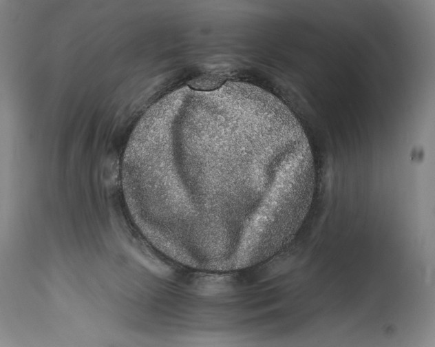 X0000114390081200911061525