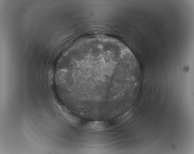 X0000114390082200911061525