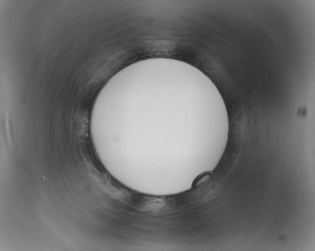 X0000114390083200911061525