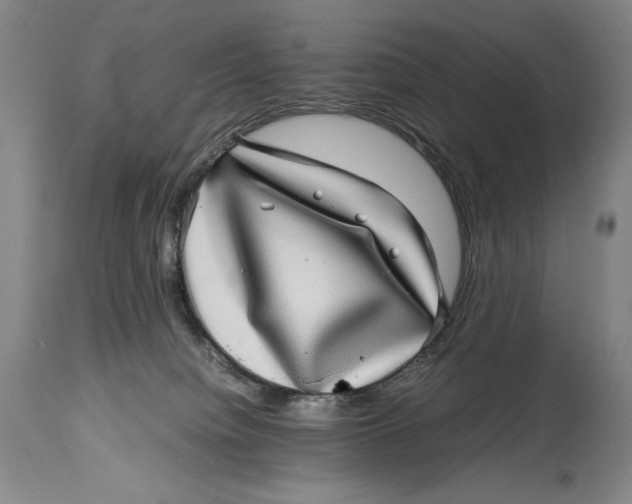 X0000114390084200911061525