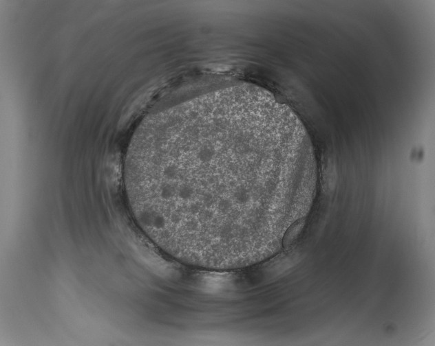 X0000114390085200911061525