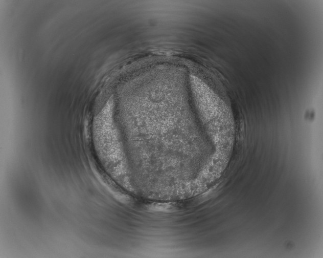 X0000114390086200911061525