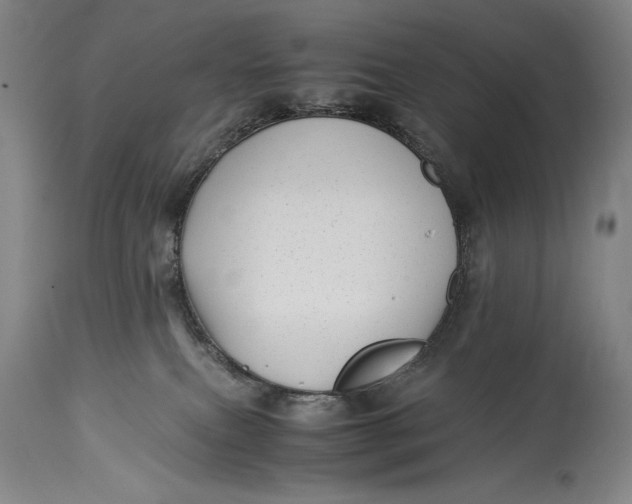 X0000114390087200911061525