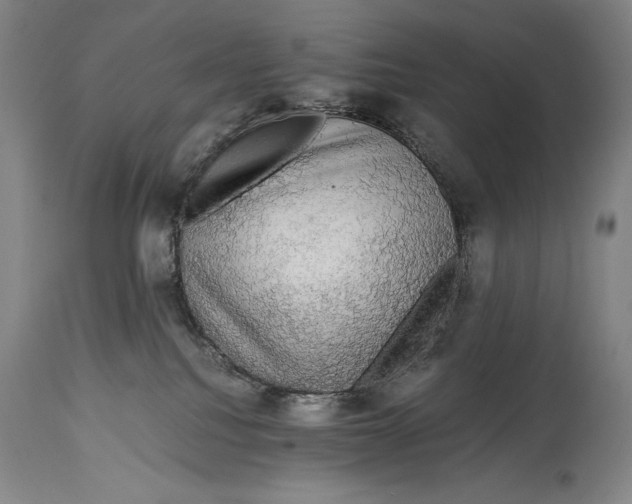 X0000114390088200911061525
