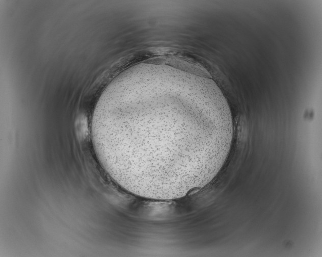X0000114390089200911061525