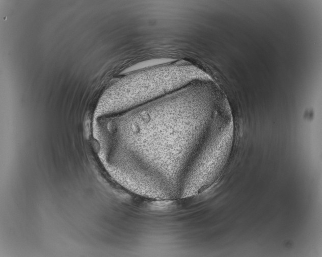 X0000114390090200911061525