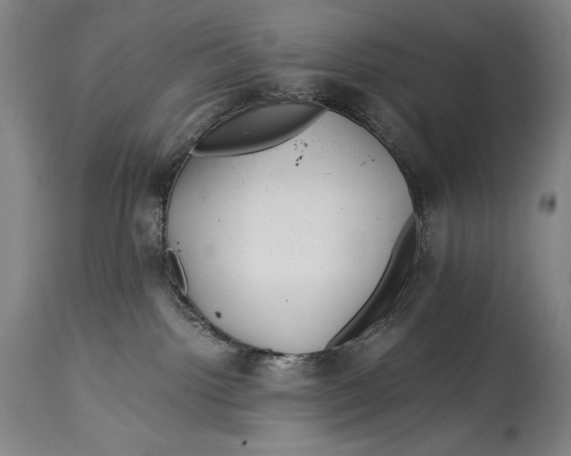 X0000114390092200911061525