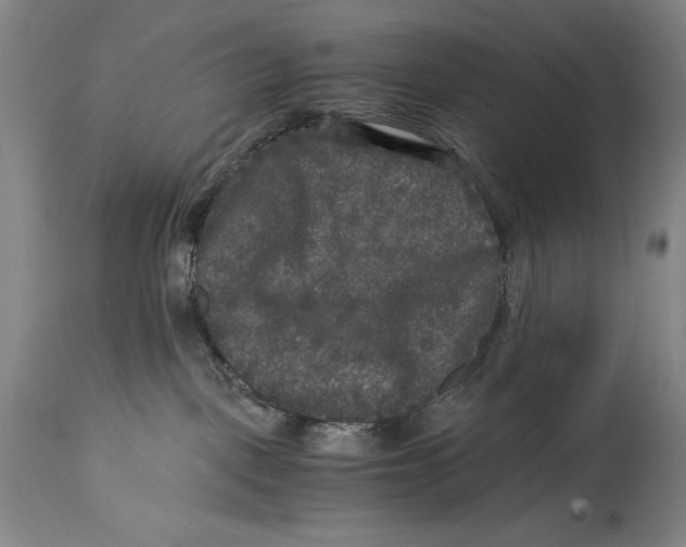 X0000114390093200911061525
