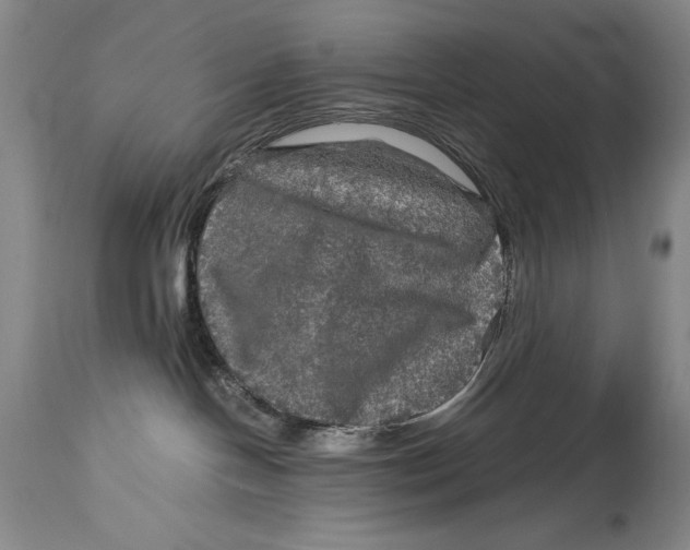 X0000114390094200911061525