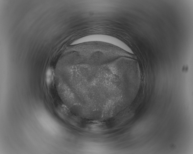 X0000114390095200911061525