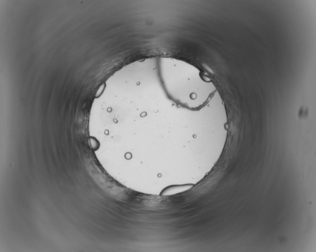 X0000114390096200911061525