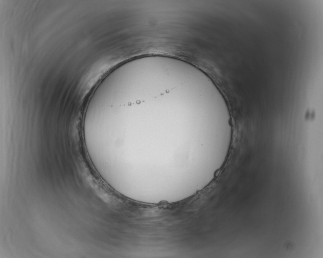 X0000114390098200911061524