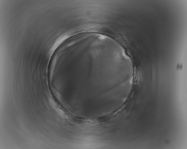 X0000114390099200911061524